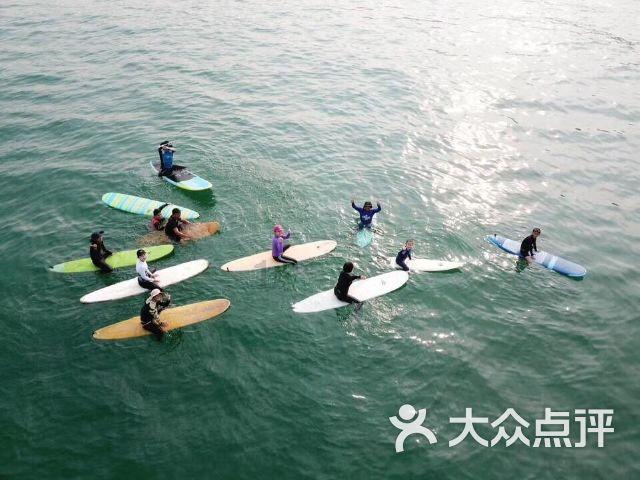 三亚近海发现剧毒僧帽水母？专家提醒：是其近亲蓝瓶僧帽水母，毒性较小